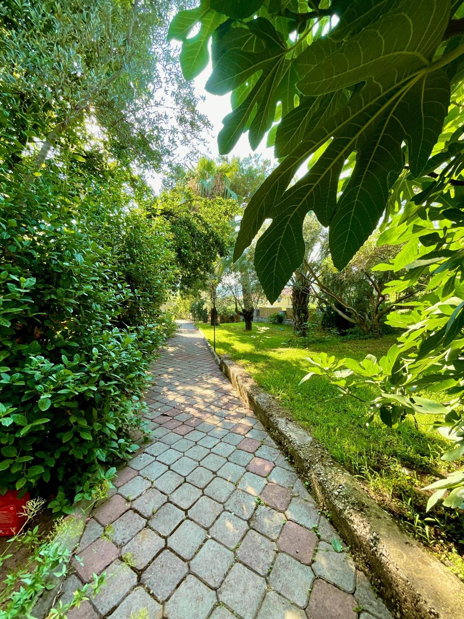 Gunes Boutique Otel Fethiye Exteriér fotografie